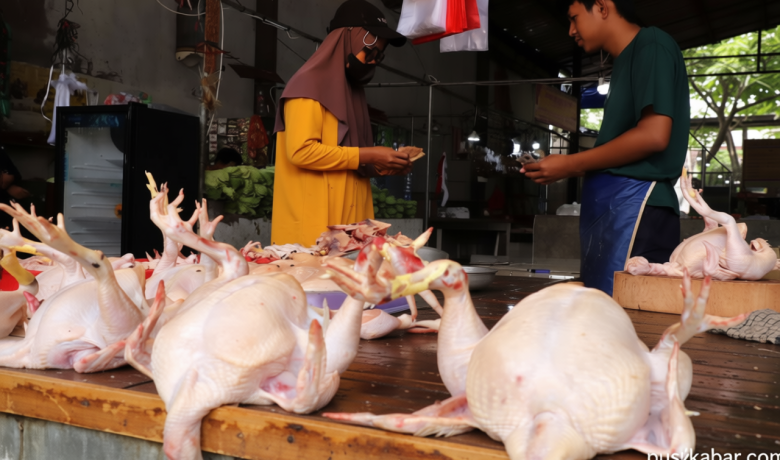 New Policy: Harga Ayam Anjlok, Bapanas Dorong Bantuan Pangan Digulirkan Lagi