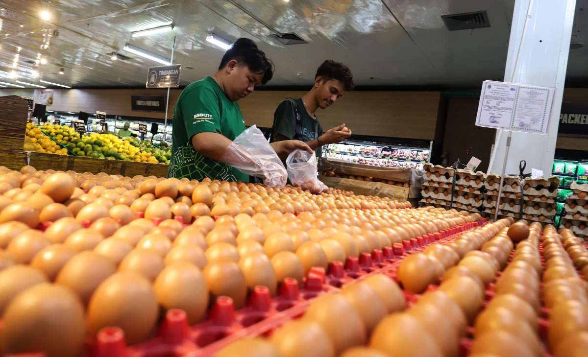 Latest Program: Harga Telur Naik, Wamenko Pangan: Dipengaruhi Permintaan dari Program MBG