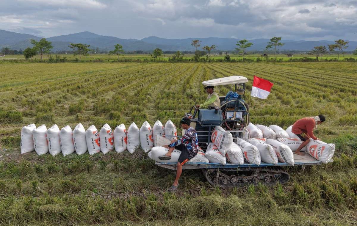 Latest Program: DPR Sebut HPP Gabah Kering Panen Rp 6.500/kg Perlu Dievaluasi, Ini Alasannya