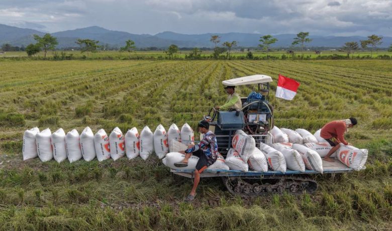 Latest Program: DPR Sebut HPP Gabah Kering Panen Rp 6.500/kg Perlu Dievaluasi, Ini Alasannya