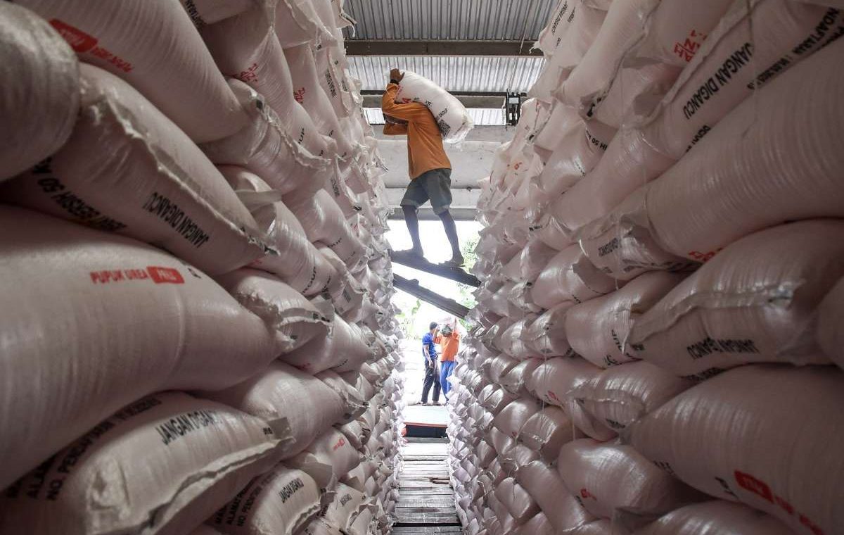 Latest Program: Bapanas Klaim Stok Beras Aman, Indonesia Surplus Beras 3 Juta Ton